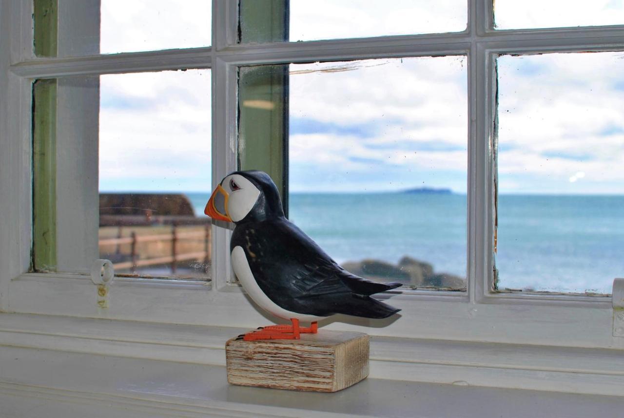 Aqua Vista- Seafront Cottage Cellardyke 安斯特拉瑟 外观 照片